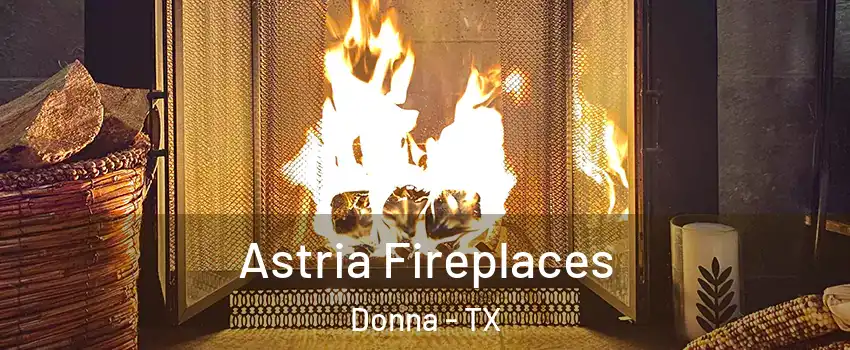  Astria Fireplaces Donna - TX