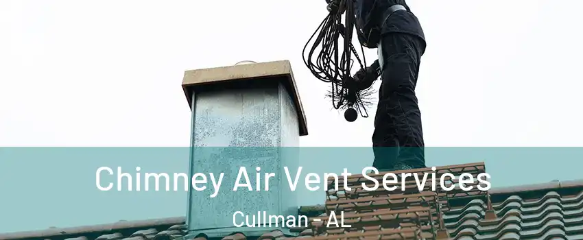  Chimney Air Vent Services Cullman - AL