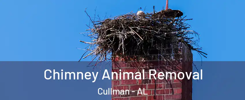 Chimney Animal Removal Cullman - AL