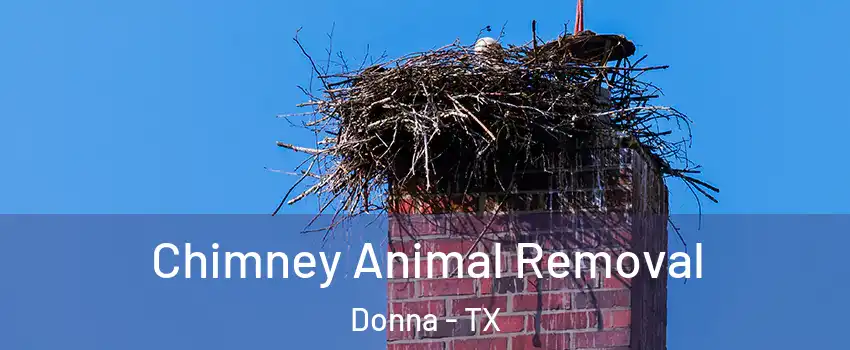 Chimney Animal Removal Donna - TX