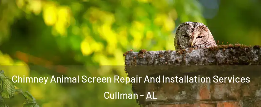  Chimney Animal Screen Repair And Installation Services Cullman - AL