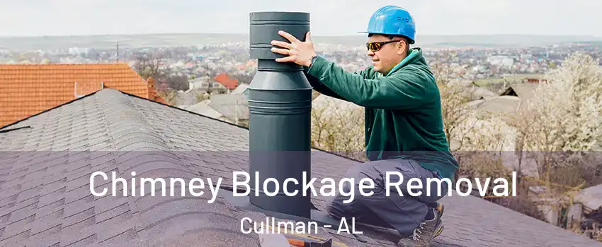  Chimney Blockage Removal Cullman - AL
