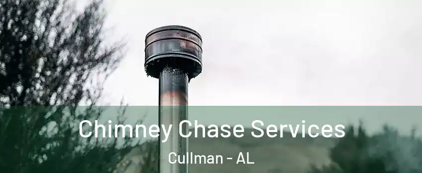  Chimney Chase Services Cullman - AL