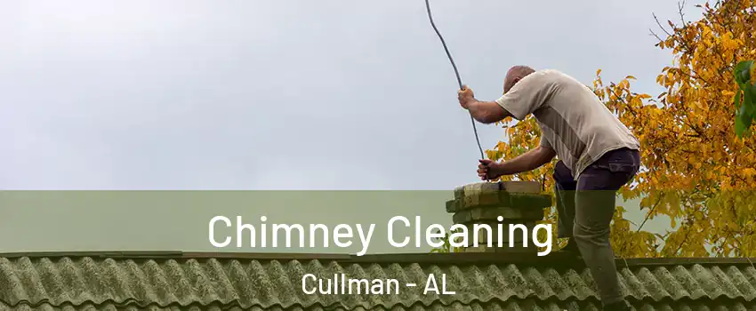  Chimney Cleaning Cullman - AL