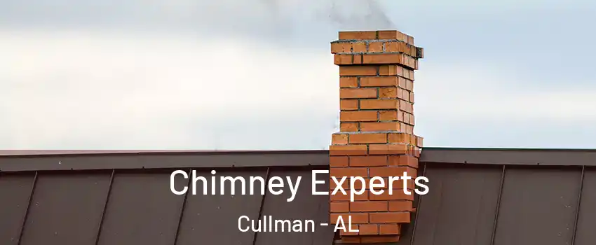 Chimney Experts Cullman - AL