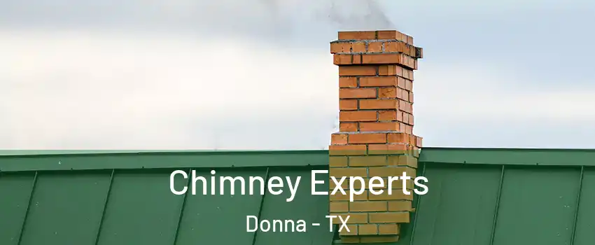 Chimney Experts Donna - TX