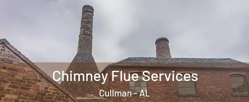  Chimney Flue Services Cullman - AL