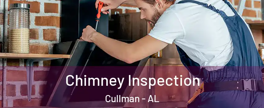  Chimney Inspection Cullman - AL