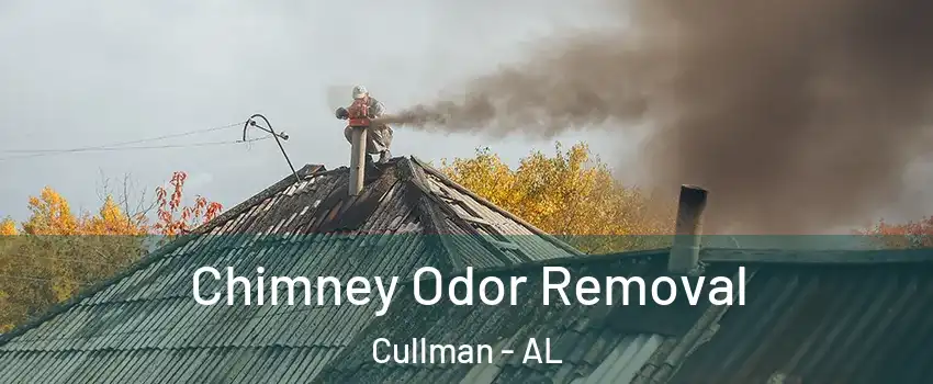  Chimney Odor Removal Cullman - AL