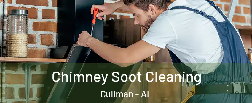  Chimney Soot Cleaning Cullman - AL