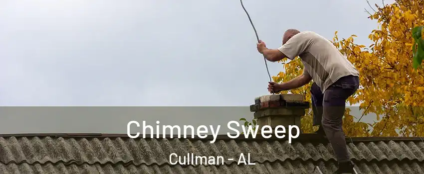  Chimney Sweep Cullman - AL