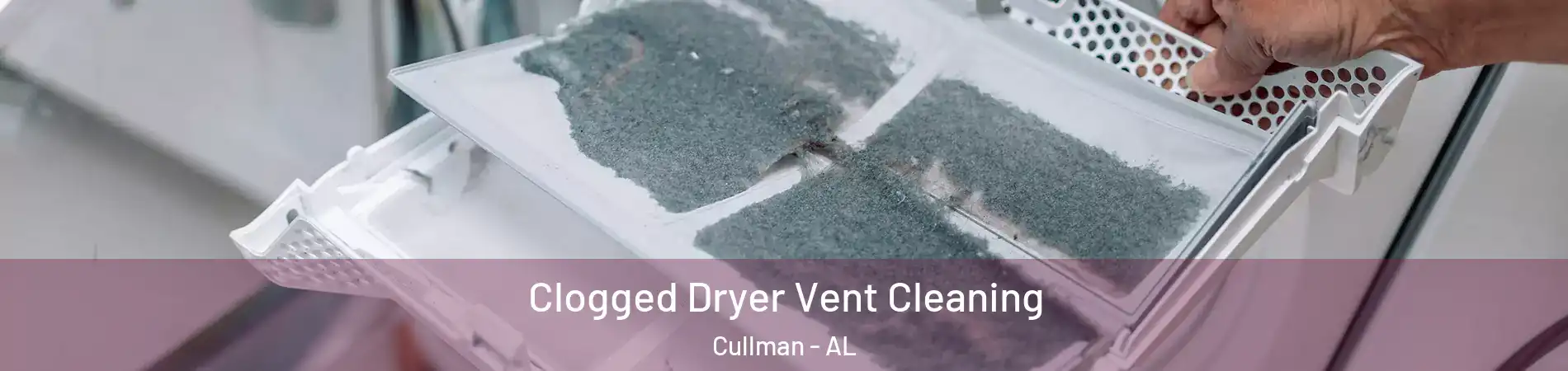  Clogged Dryer Vent Cleaning Cullman - AL