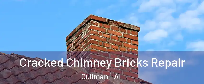  Cracked Chimney Bricks Repair Cullman - AL