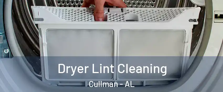  Dryer Lint Cleaning Cullman - AL