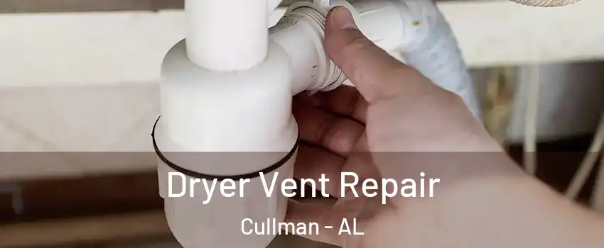  Dryer Vent Repair Cullman - AL