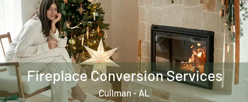  Fireplace Conversion Services Cullman - AL