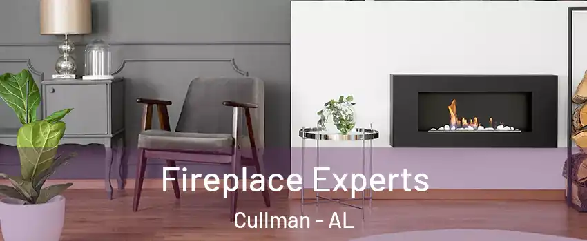  Fireplace Experts Cullman - AL