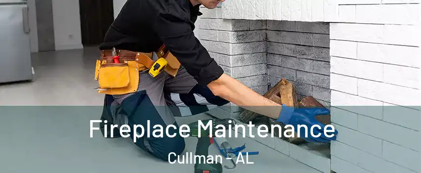  Fireplace Maintenance Cullman - AL