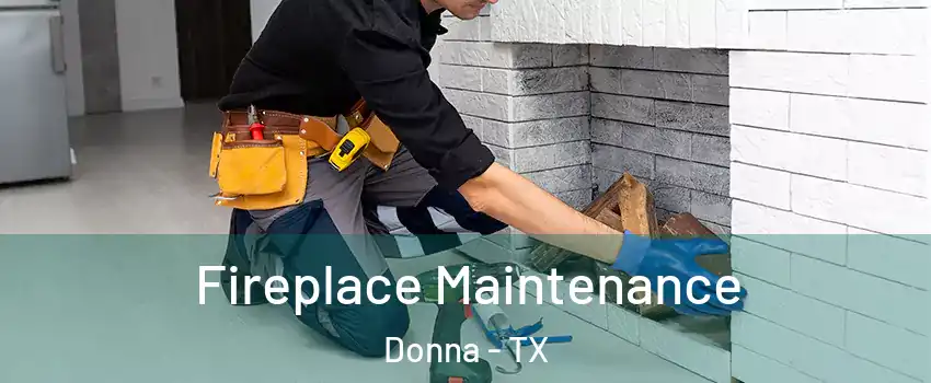  Fireplace Maintenance Donna - TX