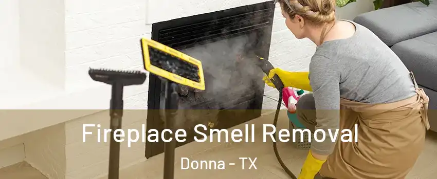  Fireplace Smell Removal Donna - TX