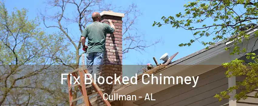  Fix Blocked Chimney Cullman - AL