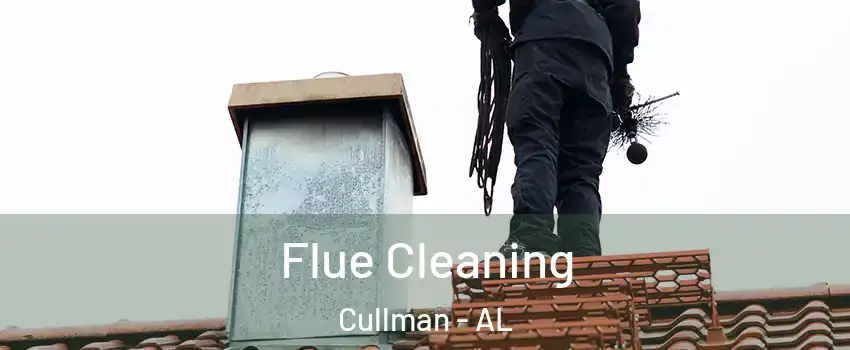  Flue Cleaning Cullman - AL