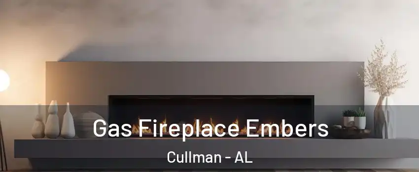  Gas Fireplace Embers Cullman - AL