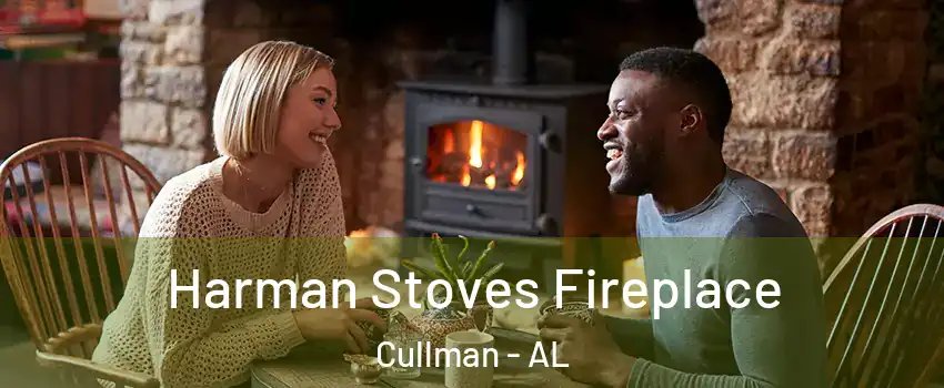  Harman Stoves Fireplace Cullman - AL