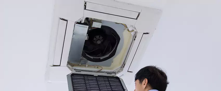 Benefits of Professional Air Duct Cleaning in Cullman, Alabama