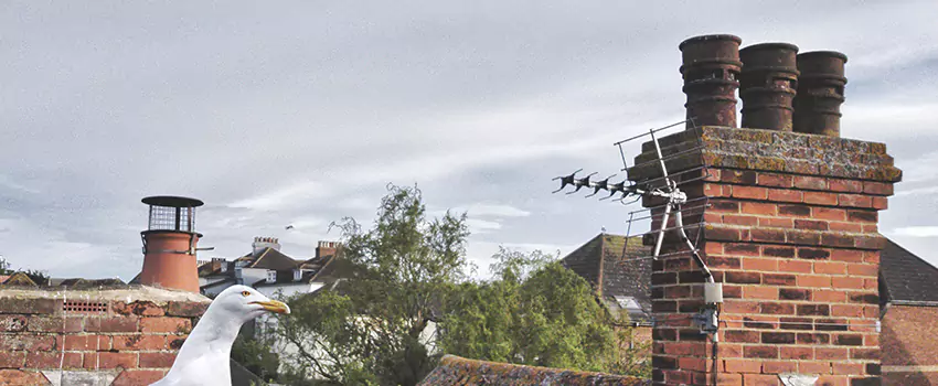 Chimney Cleaning And Restoration in Cullman, Alabama