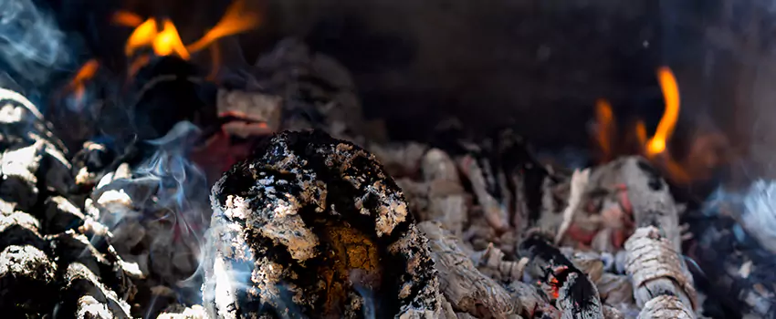 Creosote Removal Experts in Donna, TX