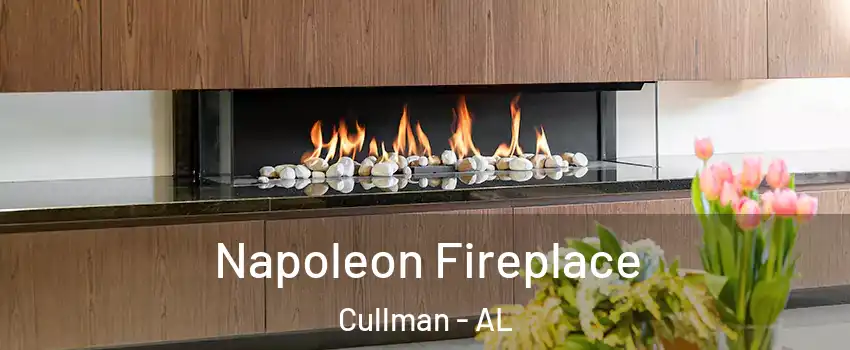  Napoleon Fireplace Cullman - AL