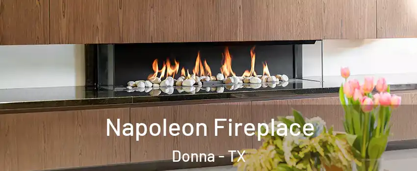  Napoleon Fireplace Donna - TX