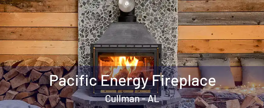  Pacific Energy Fireplace Cullman - AL